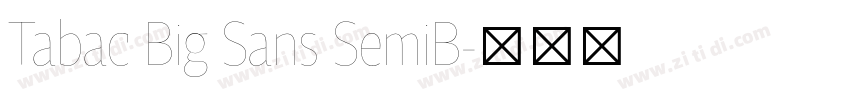 Tabac Big Sans SemiB字体转换 Tabac Big Sans SemiB字体转换
